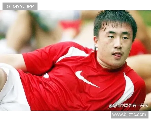 小胖足球明星的成长之路与辉煌成就揭秘