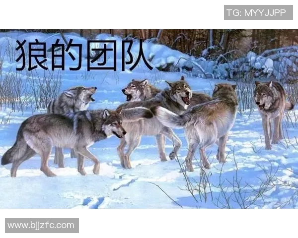 上海1980与生涯俱乐部的对决探索球员成长与团队精神的交汇点 上海1980与生涯俱乐部的对决探索球员成长与团队精神的交汇点