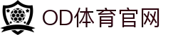 OD体育 - 欧洲杯合作平台